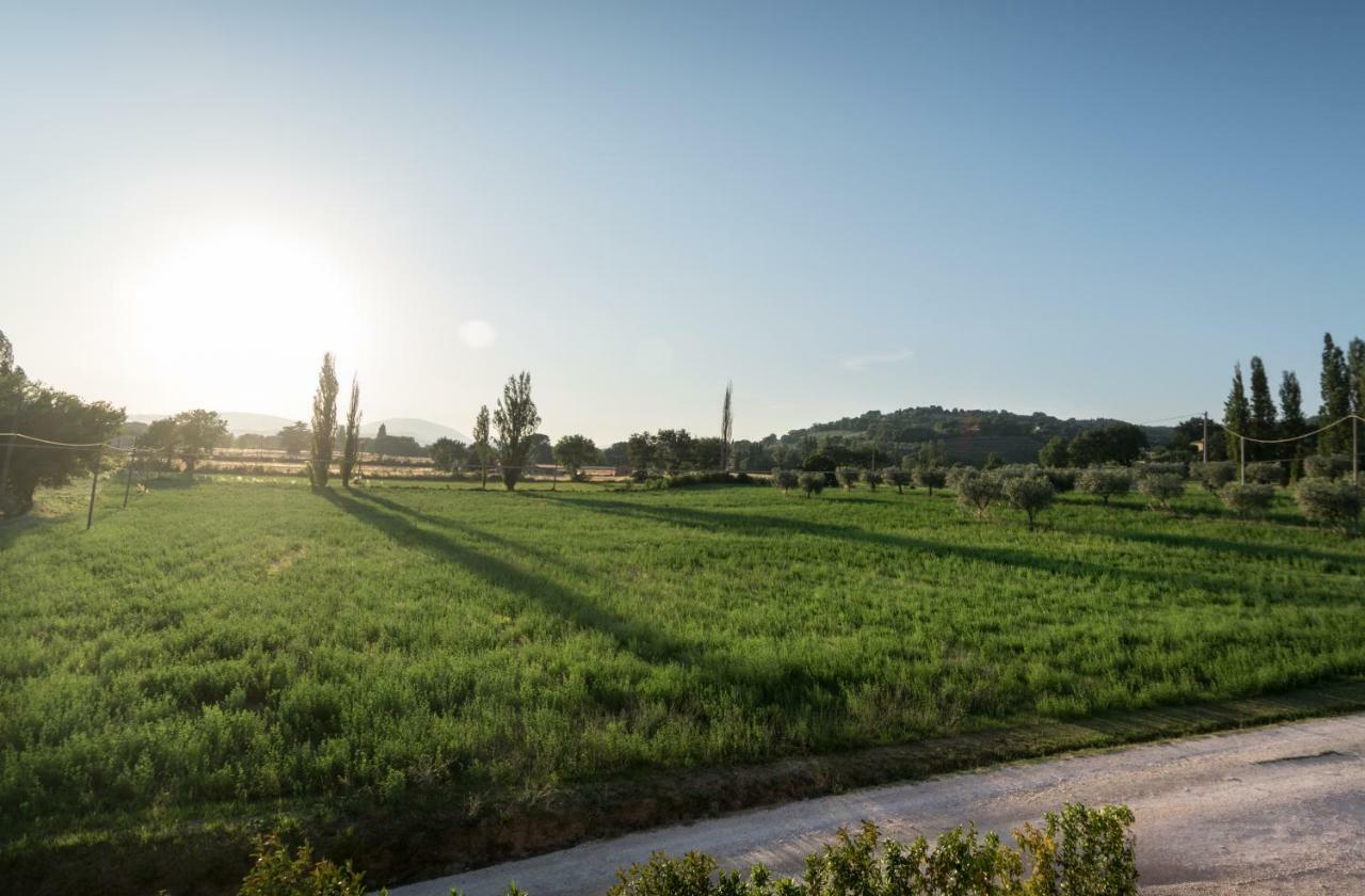 Bed & Breakfast Al Pian D'Assisi Ngoại thất bức ảnh