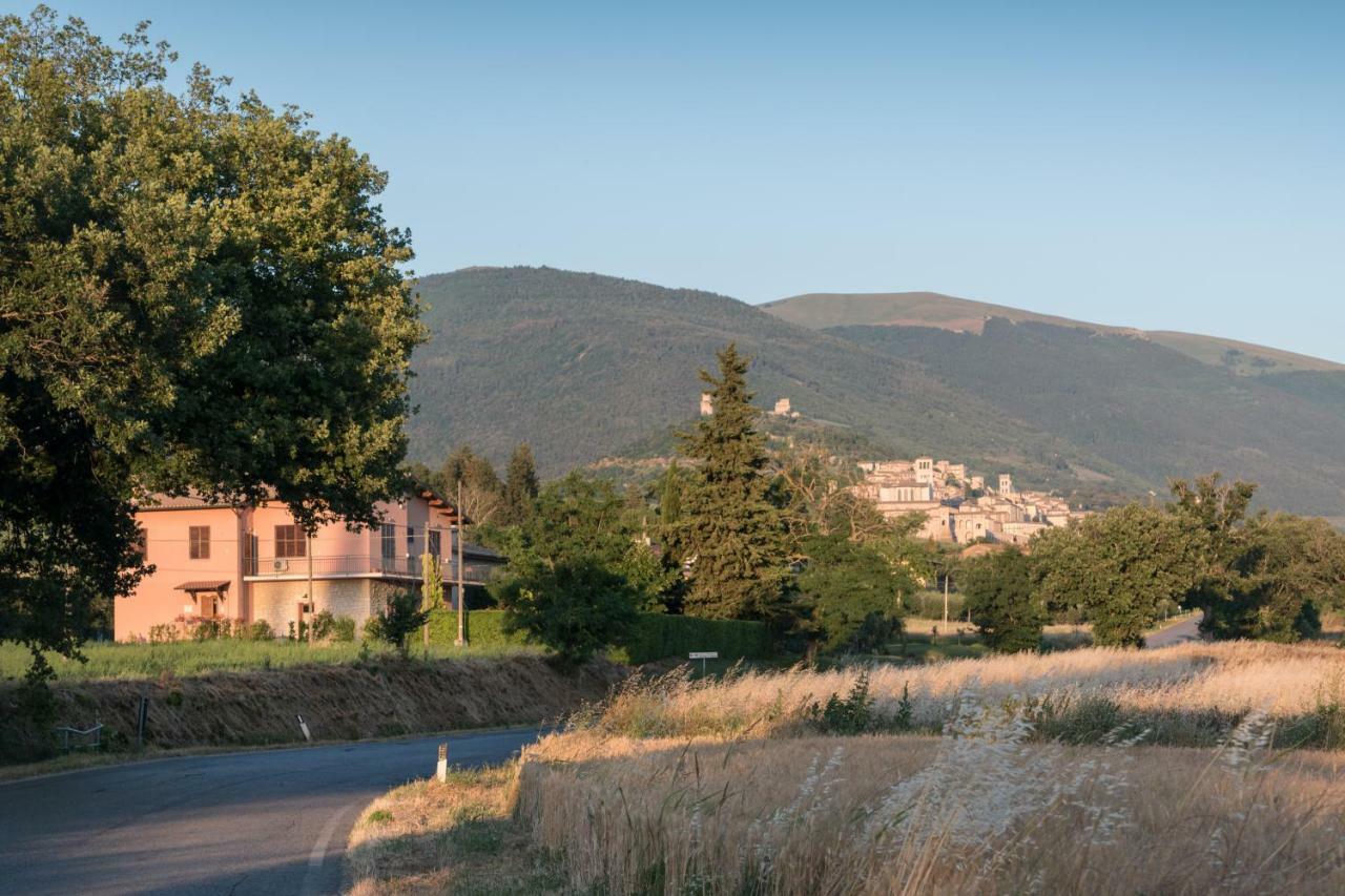 Bed & Breakfast Al Pian D'Assisi Ngoại thất bức ảnh