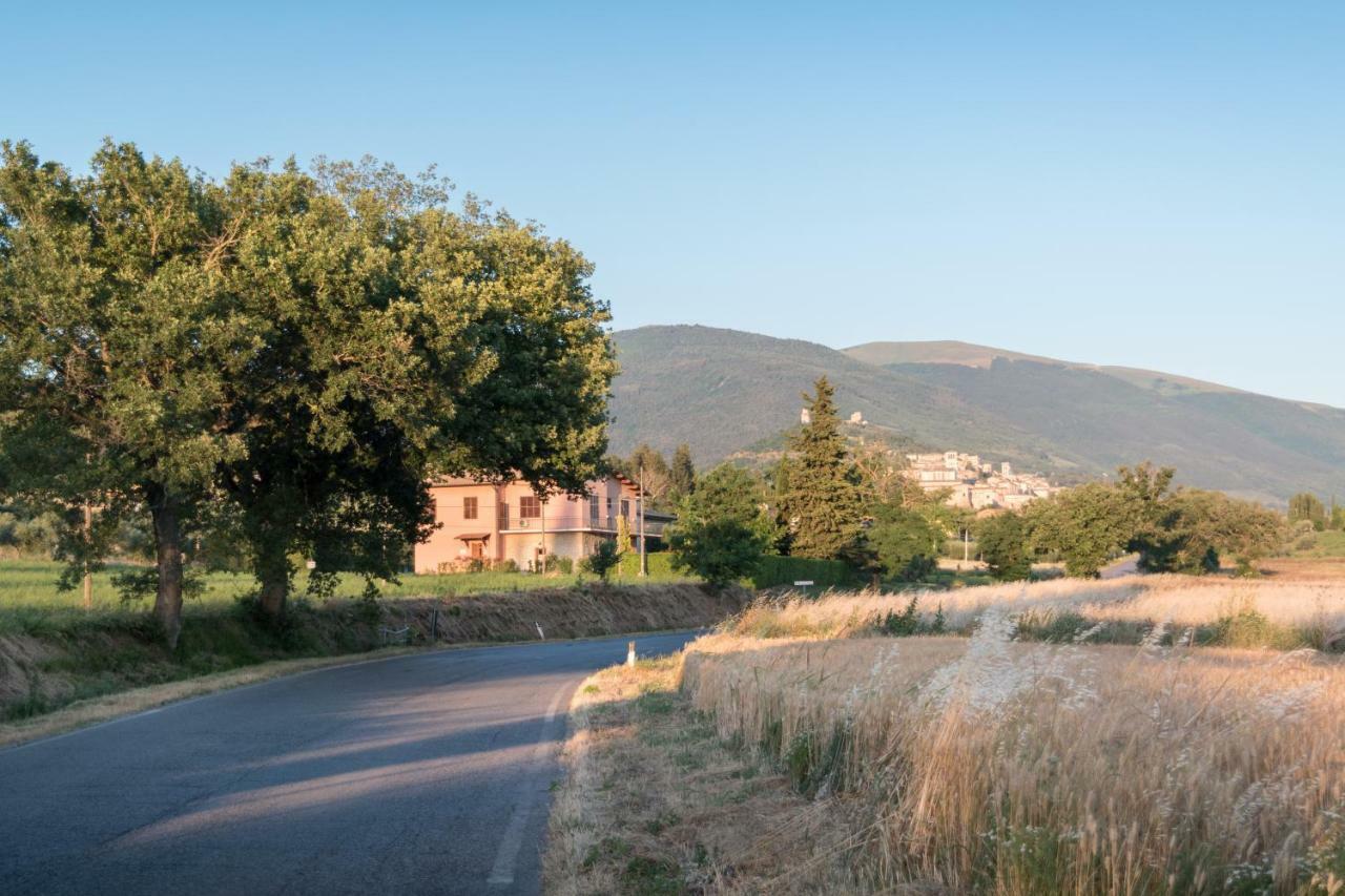 Bed & Breakfast Al Pian D'Assisi Ngoại thất bức ảnh