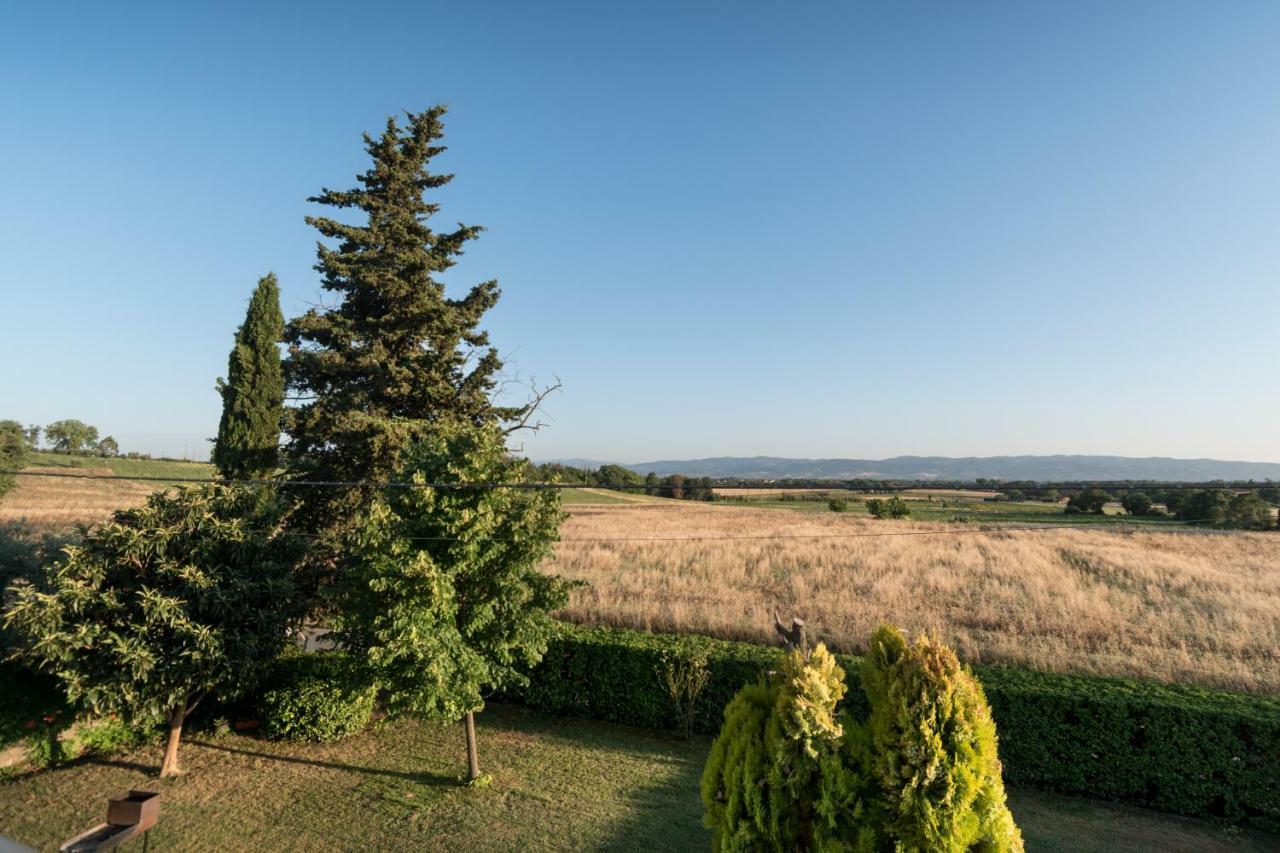 Bed & Breakfast Al Pian D'Assisi Ngoại thất bức ảnh