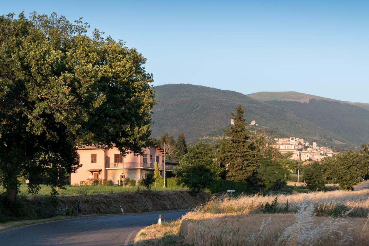 Bed & Breakfast Al Pian D'Assisi Ngoại thất bức ảnh