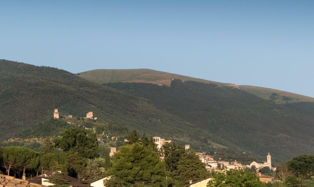 Bed & Breakfast Al Pian D'Assisi Ngoại thất bức ảnh